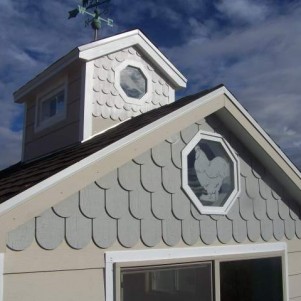 Бобровый хвост Бобровый хвост